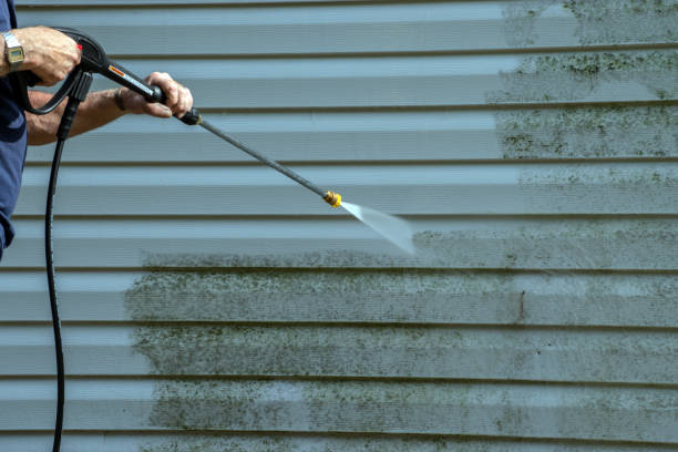Best Parking Lot Cleaning in Winfield, AL